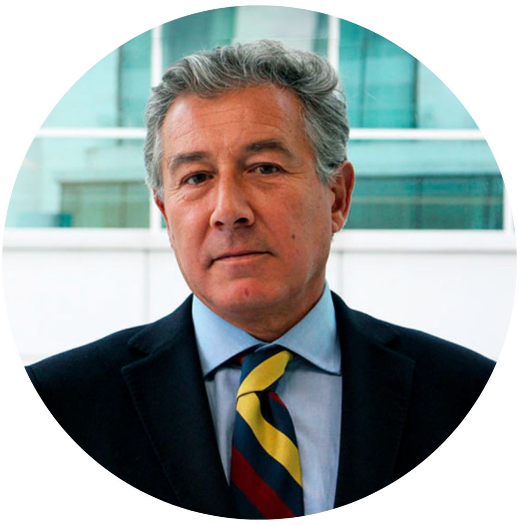 Rodrigo González Oteíza (Vicepresidente)